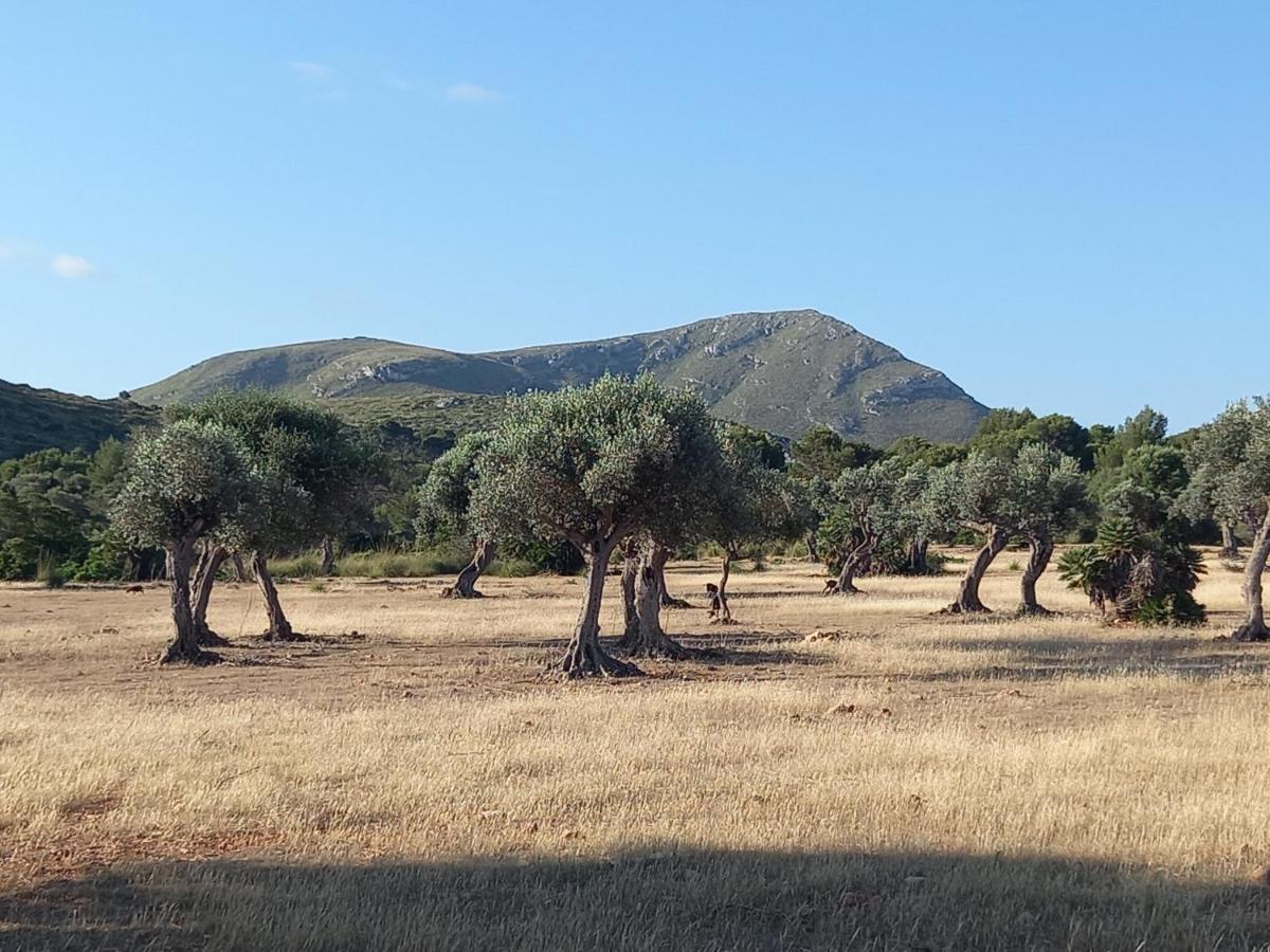 Апартаменти El Nido De Betlem Колонія-де-Сант-Пере Екстер'єр фото