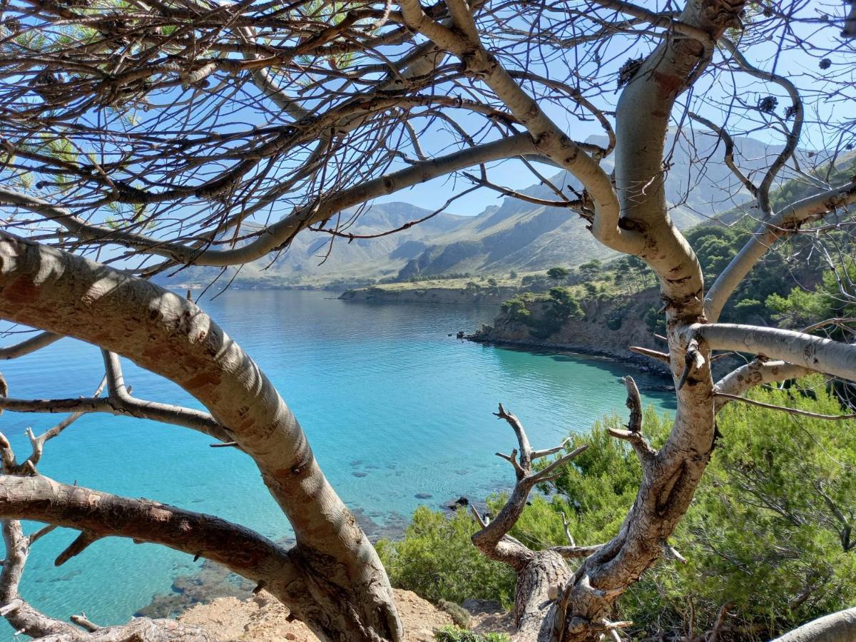 Апартаменти El Nido De Betlem Колонія-де-Сант-Пере Екстер'єр фото